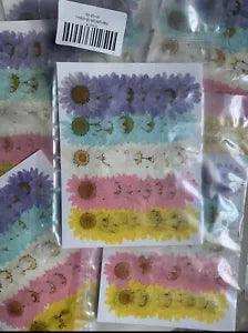 50 Pcs Chrysanthemum Pressed Dried Flowers For Art Craft Resin Jewelry Making
