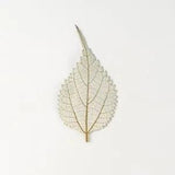 M&T 12PCS Real Pressed Dry leaves, floral supply for art candle FSS34