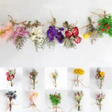 Mini Natural Dried Flowers Bouquet Wedding Dried Flowers Photography Props Decor