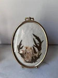 Vtg Pressed Dried Flowers In Oval Brass Frame 4,5???x3???