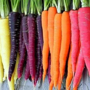 Rainbow Carrot Seeds - Heirloom ****Fast Flat Rate Shipping 2.89 No Matter How Many Seeds You Buy ****