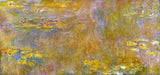 Water Lilies Aquatic Plants Flowers Painting by Claude Monet Art Repro FREE S/H
