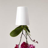 Sky Planter Recycled, LARGE 15cm - self-watering upside-down hanging planter