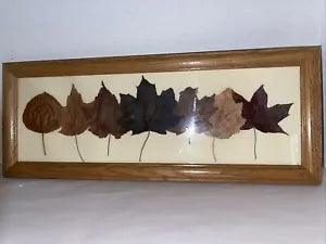Dried Pressed Leaves Wall Hanging Fall Nature Art Handmade Framed 19x8???