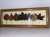 Dried Pressed Leaves Wall Hanging Fall Nature Art Handmade Framed 19x8???