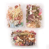 Mixed Eucalyptus Dried Flower for Photo Frame Soap Candle Epoxy Filler Craft DIY