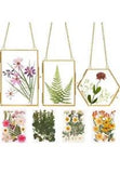 Double Glass Frame for Pressed Flowers - w/Real Dried Flowers and Tweezer -...