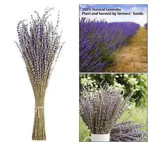 Natural Dried Flowers Lavender for Party Flower Arrangements Ornaments