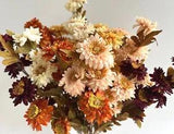 Daisy Stem Double Petal Daisies Faux Silk Dried Flowers Burgundy Ivory Pink