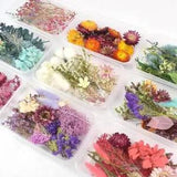 Create Magic with Real Dried Flowers - Craft Accessories