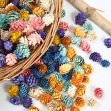 10Pcs Christmas Pinecone Nut Dried Flower DIY Pine Cone Holly Xmas Party Decor