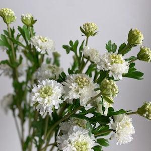 Faux Scabiosa Flower Stem - Artificial Flower / DIY Floral / Wedding / Home Decoration / Gifts / White