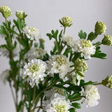 Faux Scabiosa Flower Stem - Artificial Flower / DIY Floral / Wedding / Home Decoration / Gifts / White