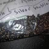 Mimosa Tree Seeds (Acacia Decurrens Dealbata) (Blue Wattle)