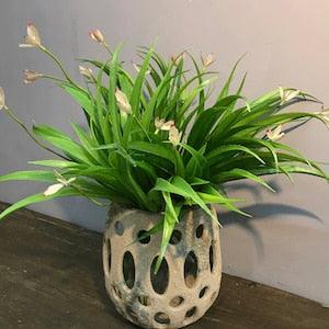 Artificial Spider Plant with Flower, Fake Chlorophytum Comosum, Home Greenery Decor, Window Plant Craft, Dining Table Floral Arrangement DIY