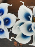 Picasso Blue Calla Lilies, Real Touch Faux Flowers, DIY Bouquet (9pcs) silk flower