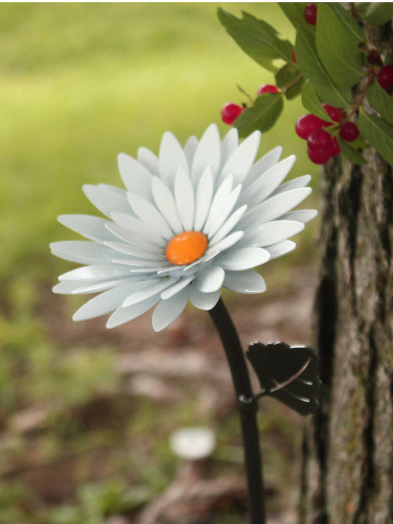 Personalized Metal Daisy Ð Iron 6th or Steel 11th Anniversary Gift ANNIVERSARY