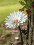 Personalized Metal Daisy Ð Iron 6th or Steel 11th Anniversary Gift ANNIVERSARY