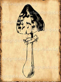 Mushroom Vector Graphic: Digital Download Artwork (ai, eps, PNG, pdf, svg, dxf, jpg) flower spore
