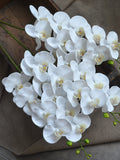 White Orchids Real Touch Flowers Phalaenopsis True Touch Artificial Orchids DIY Silk Wedding Bouquets Wedding Centerpieces silk flower