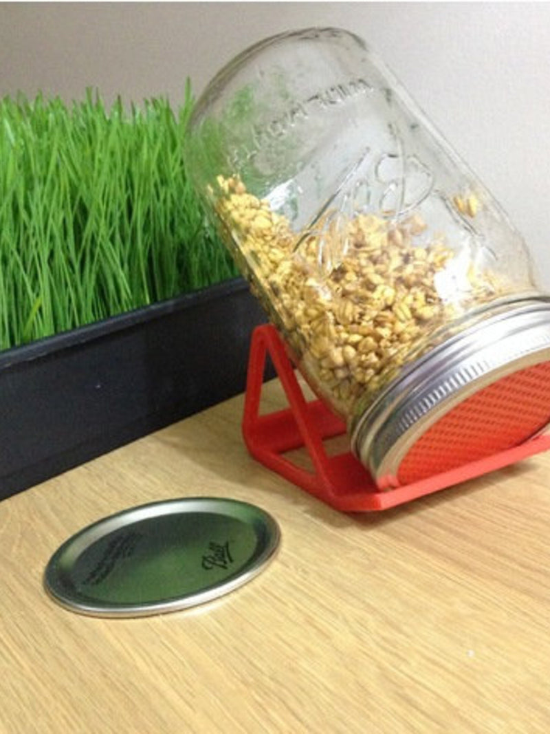 Sprouter - Lid Strainer & Stand / 3D Printed flower spore