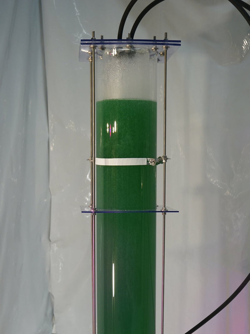 Photobioreactor (30 Liter / 7.9 US gallons) for home cultivation of Spirulina platensis or other micro algae flower spore
