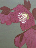 Lenten Rose greetings card.  Hellebore.  Easter. flower spore