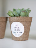 Biodegradable Pulp Seed Starter Pots - Set of 60 seeds bulk