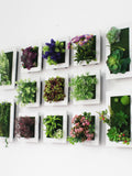 Artificial Flower Fake Plant Wall Hanging Decor,Simulated Succulent Plants Frames Wall Decoration faux plants