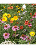 WILDFLOWER: BEE MIX - 100+ Seeds  -19 Different Annuals & Perennials - Organic, Fresh, High Quality Seed flower seeds