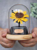 Leather Sunflower Preserved Flower Box, Personalized Leather 3rd 5th Wedding Anniversary Gift for Wife Girlfriend Her Him Partner, Decor ANNIVERSARY