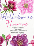 Watercolor Helleborus Flower Clipart,Helleborus Flower,Helleborus Flower Wedding,Helleborus Flower invitation, Flower Hand painted | WCHE_01 flower spore