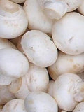 2 x 42g. 1.5 oz."NEW"/ BUTTON,Seeds(AGARICUS)Spawn Mushroom Mycelium Free Shipping! flower spore