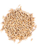 Thunder Acres Barley Seed - Certified Organic - Non-GMO seeds bulk