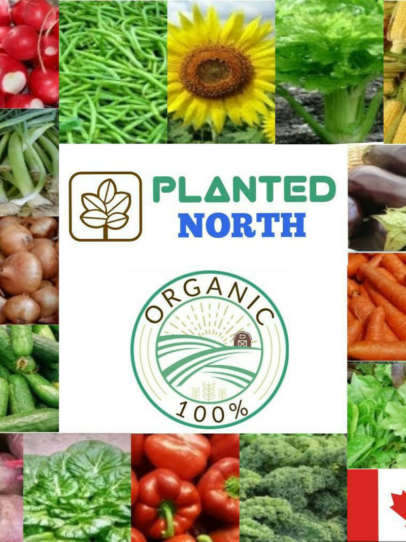 Organic Vegetable Seeds Variety Pack: 15 Heirloom, Non-GMO Garden Seeds. seeds bulk