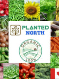 Organic Vegetable Seeds Variety Pack: 15 Heirloom, Non-GMO Garden Seeds. seeds bulk