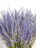 250-300 stems/bundle, lavender, high-quality dried flowers, purple lavender, wedding decoration, home decoration dried flowers FLOWER DELIVERY