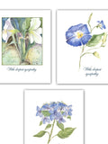 floral watercolor sympathy cards - botanical sympathy cards-  morning glory-  lacecap hydrangea- unique sympathy cards- sympathy flower
