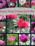 Super Mega Mix Poppy Flower Seeds 1000 plus seeds bulk