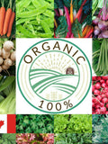 Organic Vegetable Seeds Variety Pack: 15 Heirloom Fall/Winter Garden Seeds. seeds bulk