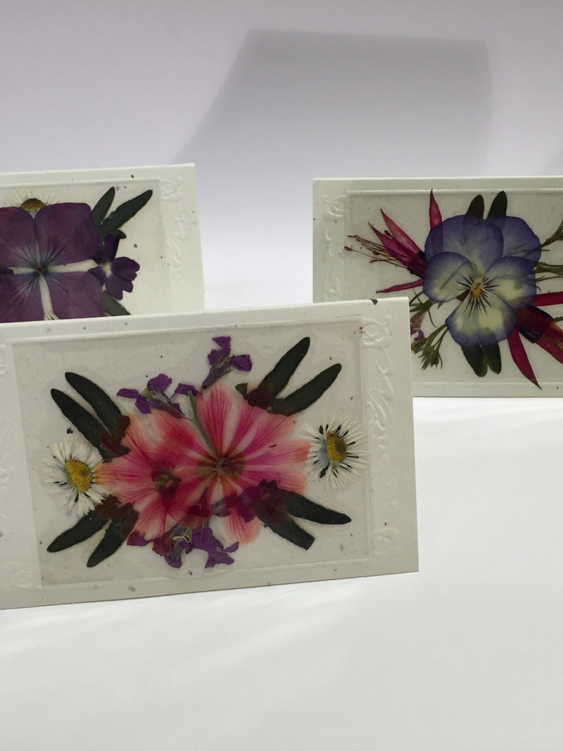 Real Flower Enclosure Cards - Set of 12 sympathy flower