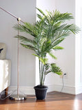 Artificial Areca Palm Plant (31",36",55",66") faux plants