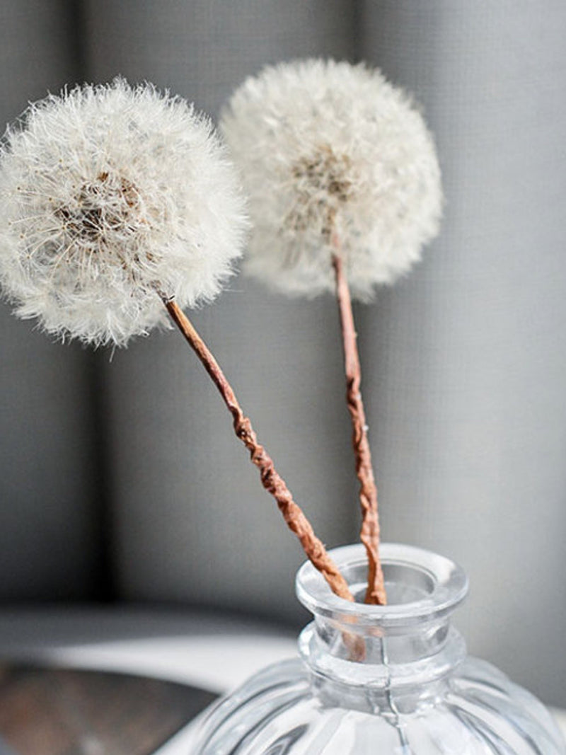 Dandelion flowers Eternal flower Filler Home Decor Centerpiece Wedding Bouquets Flower arrangement Decorative flower box,1 PC FLOWER DELIVERY