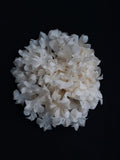 M&S Schmalberg 5" Blush Silk Satin Faced Organza Hydrangea Wedding Flower Hair-Clip - Made in USA  (Bridal Flower) silk flower