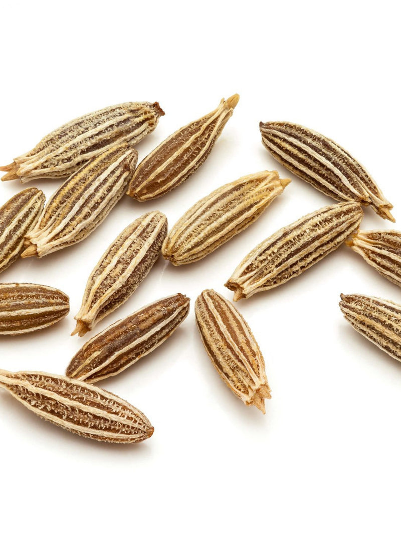 Cumin Seed Pack - Heirloom seeds seeds bulk