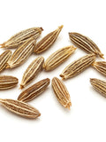 Cumin Seed Pack - Heirloom seeds seeds bulk