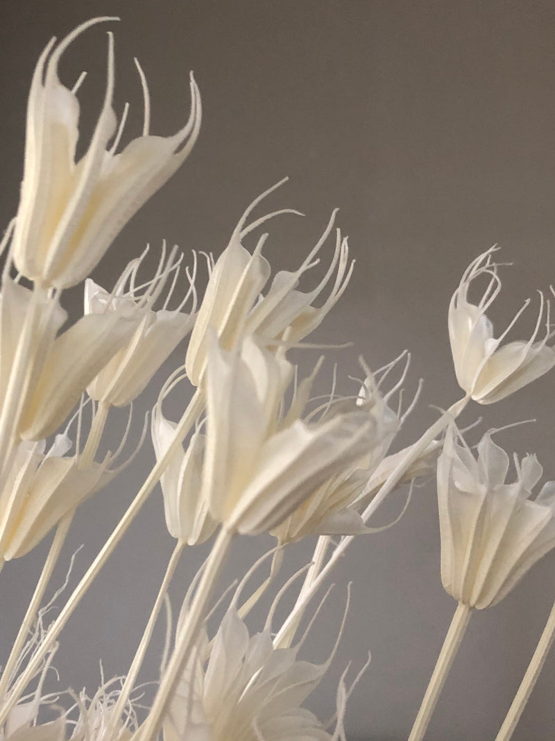Star anise bleached dried flower, wedding decoration, home decoration, dried flower, flower arrangement, wedding flower FLOWER DELIVERY