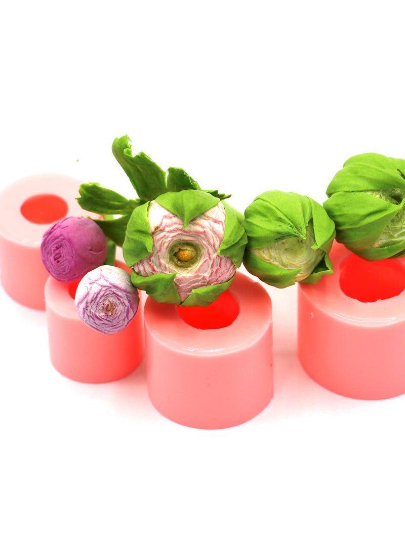 ranunculus flower buds flower spore