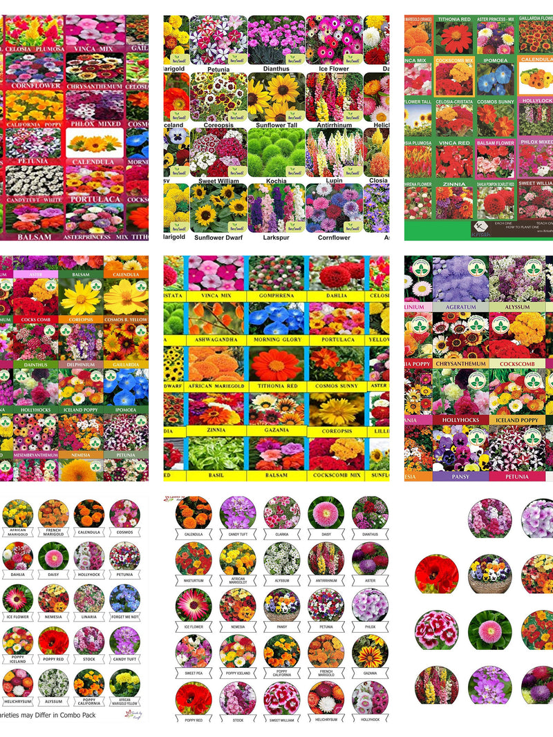 Mix Multi Varieties Indian Organic Beautiful And Good Smel And Multicolor Flower Seed Free Shipping seeds bulk