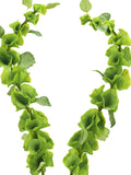 Artificial Bells of Ireland Stems | Green Filler Flowers, 37'' (Set of 2) FLOWER DELIVERY